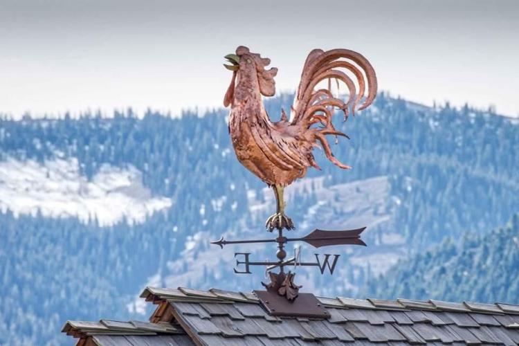 Rooster Wind Vane